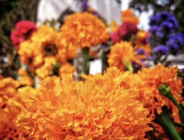 flowers from mexico - Rosesland USA - Send Flowers Online