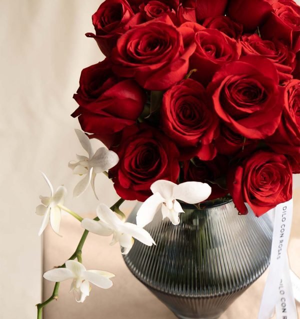 Roses Red White Vase - Rosesland USA
