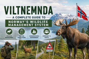 viltnemnda